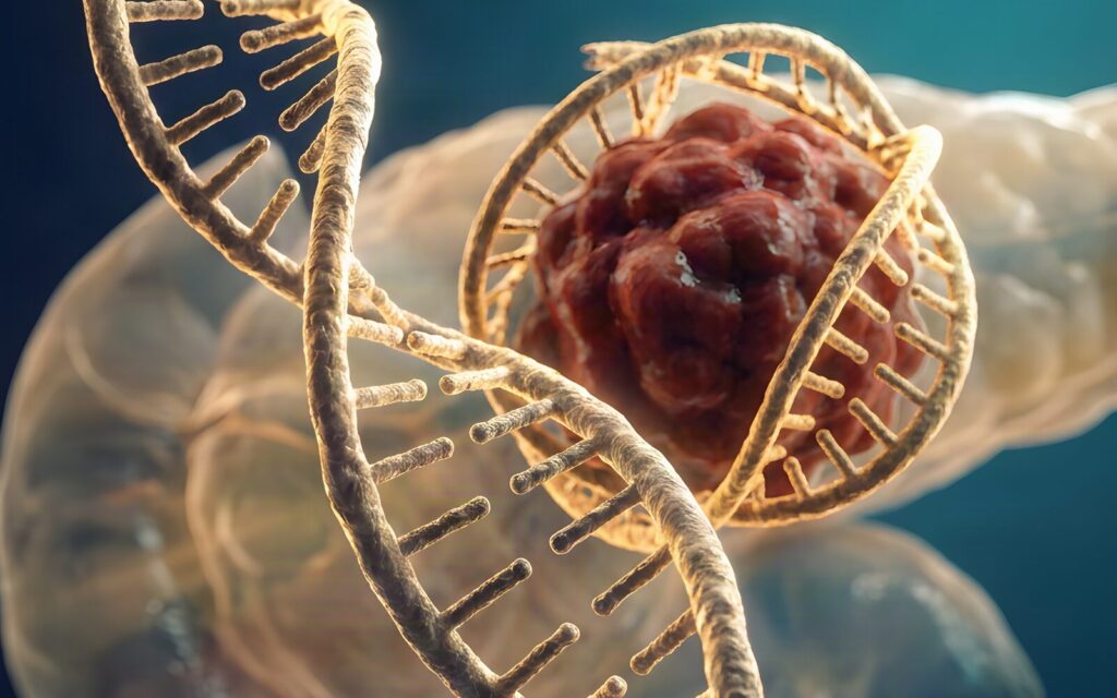 Oxygen gradient within a solid tumor